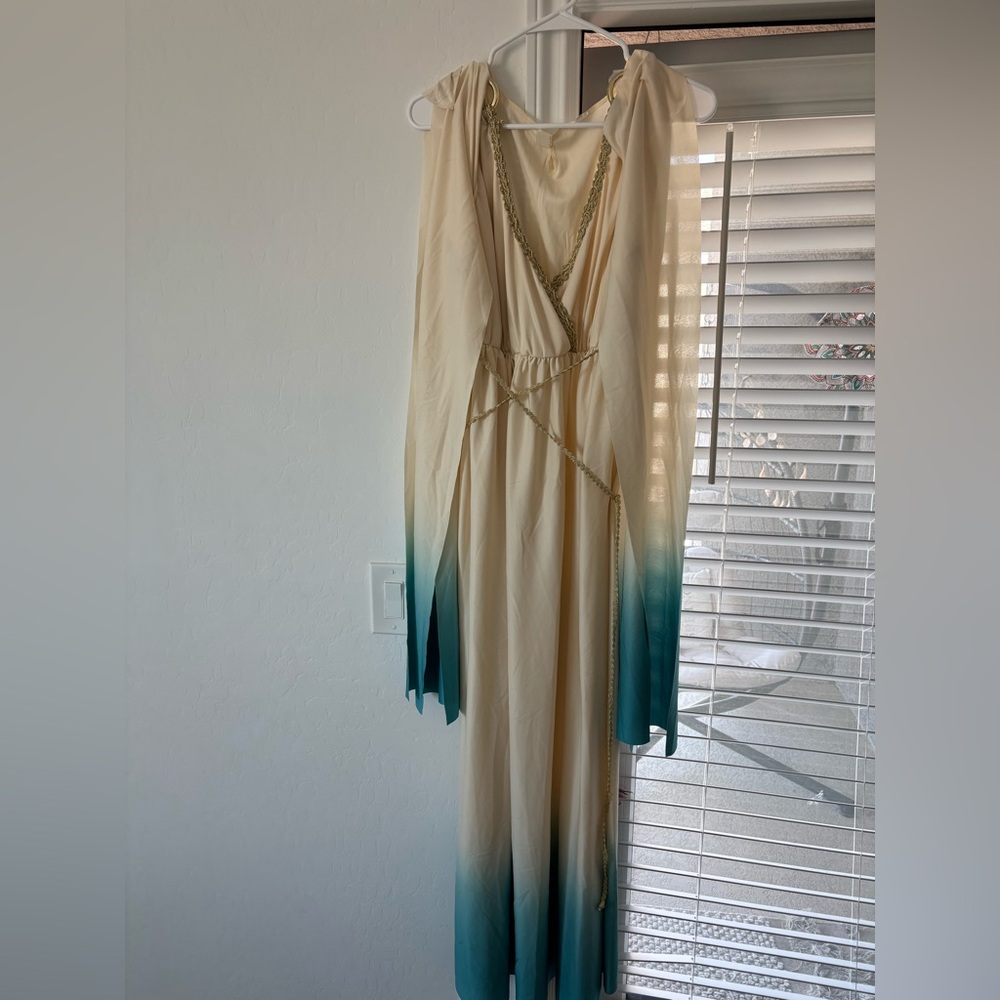 Elegant Ombre Greek Goddess Dress